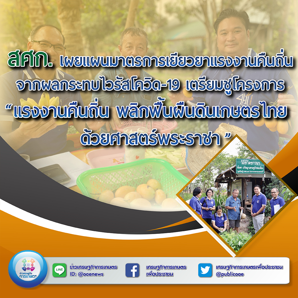 สศก. เผยแผนมาตรการเยียวยาแรงงานคืนถิ่น จากผลกระทบไวรัสโควิด-19 เตรียมชูโครงการ “แรงงานคืนถิ่น พลิกฟื้นผืนดินเกษตรไทย ด้วยศาสตร์พระราชา 