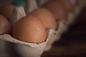 เลขาธิการ สศก. ระบุชัด ข้อมูลต้นทุนไข่ไก่เฉลี่ย 2.69 บาท/ฟอง มั่นใจราคาเหมาะสมต่อเกษตรกรผู้เลี้ยงและผู้บริโภค