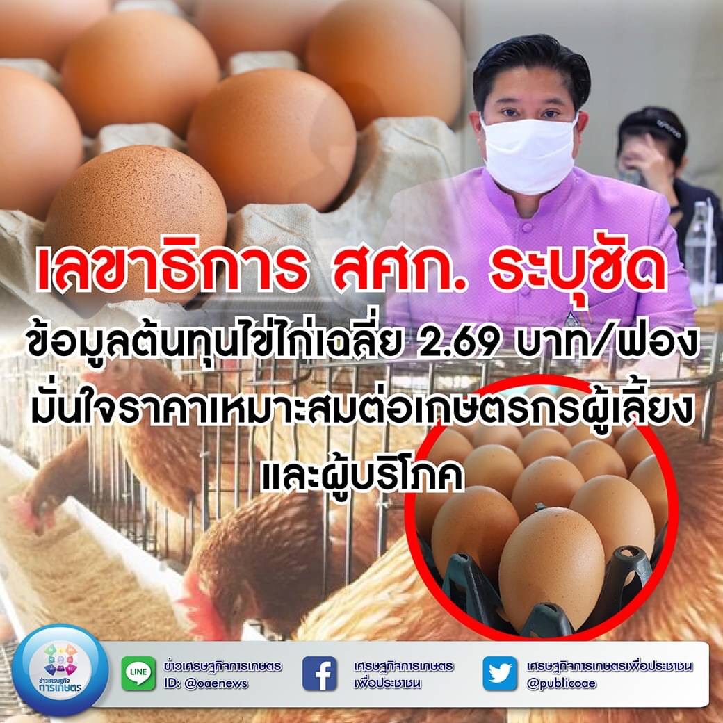 เลขาธิการ สศก. ระบุชัด ข้อมูลต้นทุนไข่ไก่เฉลี่ย 2.69 บาท/ฟอง มั่นใจราคาเหมาะสมต่อเกษตรกรผู้เลี้ยงและผู้บริโภค 