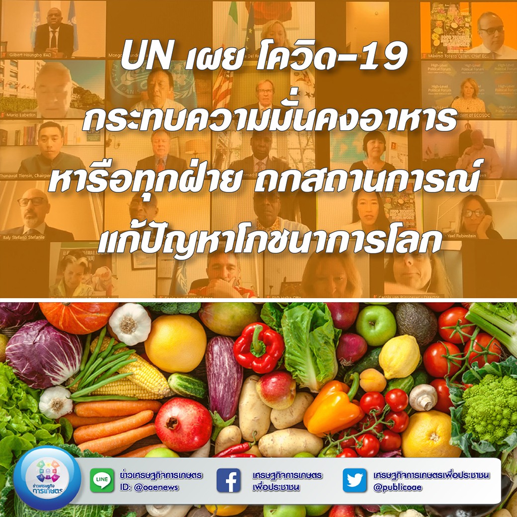 UN เผย โควิด-19 กระทบความมั่นคงอาหาร หารือทุกฝ่าย   ถกสถานการณ์ แก้ปัญหาโภชนาการโลก
