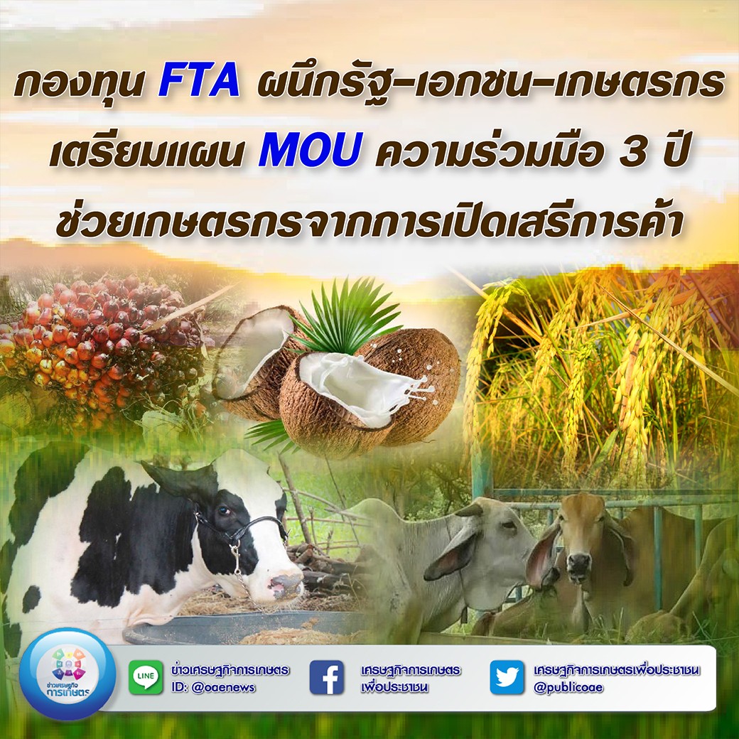 กองทุน FTA ผนึกรัฐ-เอกชน-เกษตรกร เตรียมแผน MOU ความร่วมมือ 3 ปี ช่วยเกษตรกรจากการเปิดเสรีการค้า 