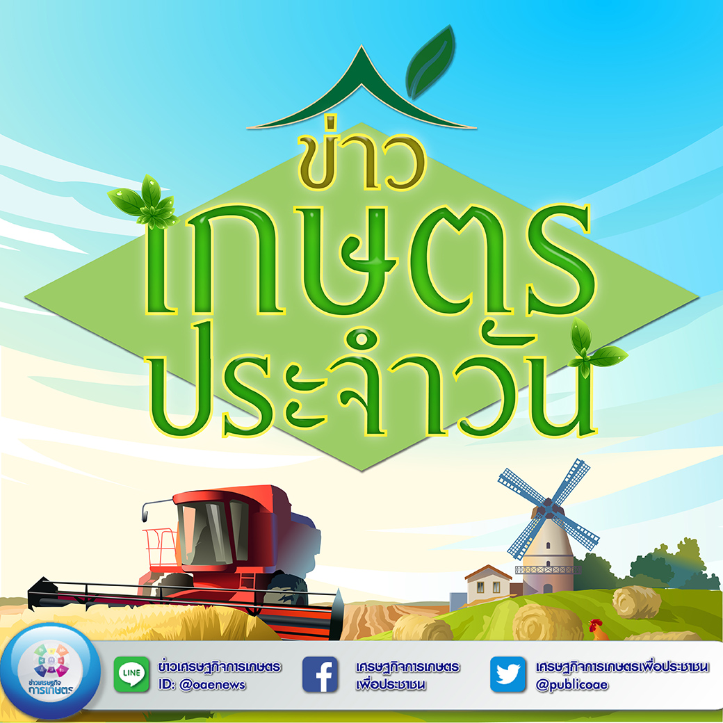 สรุปหัวข้อข่าวด้านการเกษตรที่สำคัญ ประจำวันที่ 13 พฤศจิกายน 2563