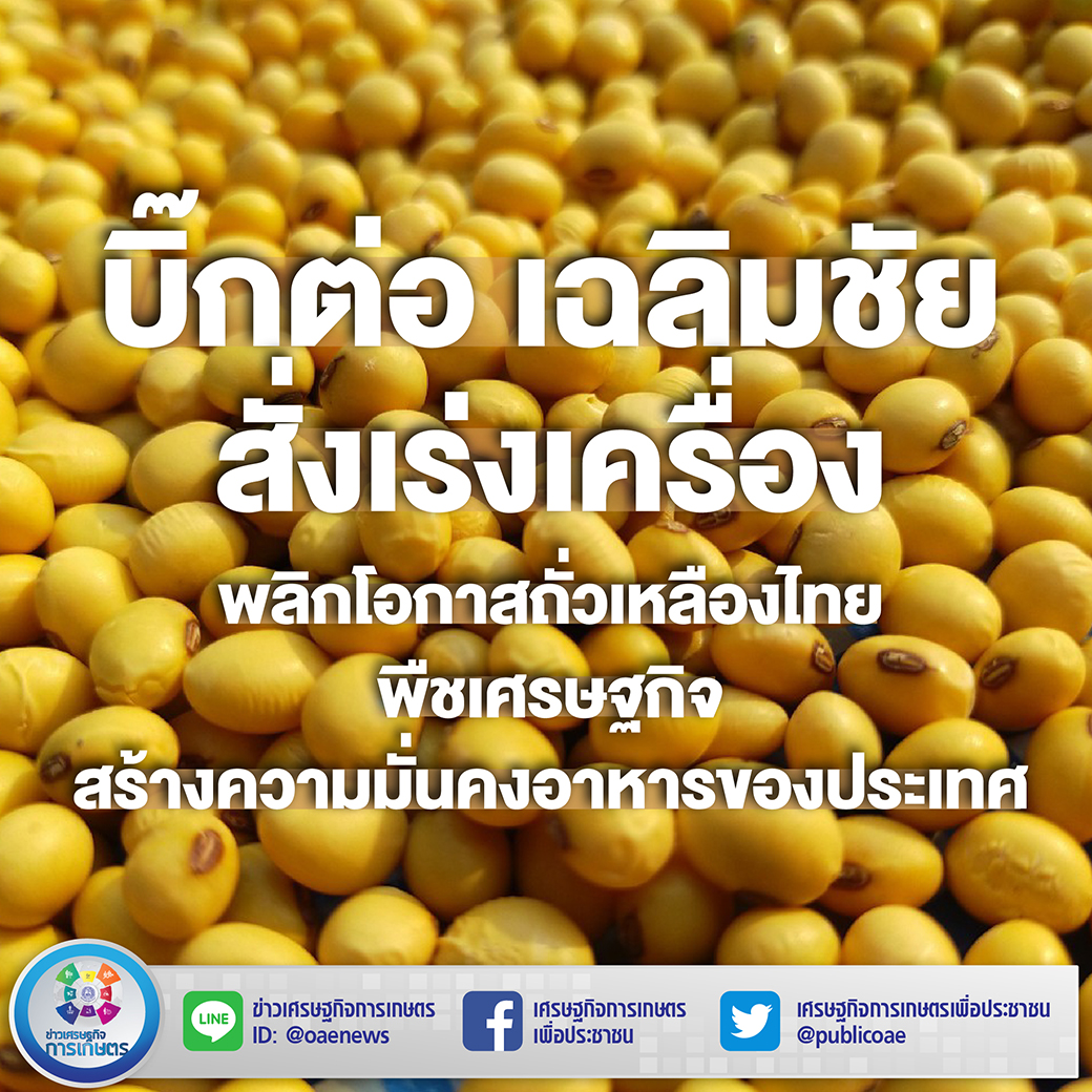 บิ๊กต่อ เฉลิมชัย สั่งเร่งเครื่อง พลิกโอกาสถั่วเหลืองไทย พืชเศรษฐกิจ สร้างความมั่นคงอาหารของประเทศ