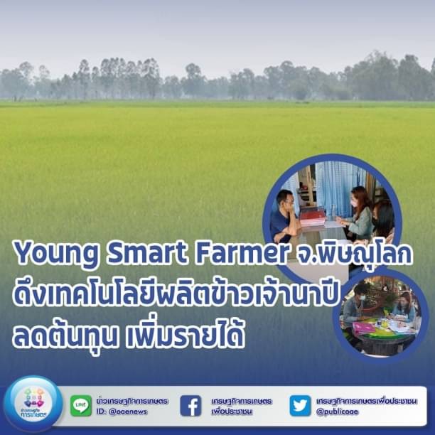 young smart farmer จ.พิษณุโลก ดึงเทคโนโลยีผลิตข้าวเจ้านาปี ลดต้นทุน เพิ่มรายได้