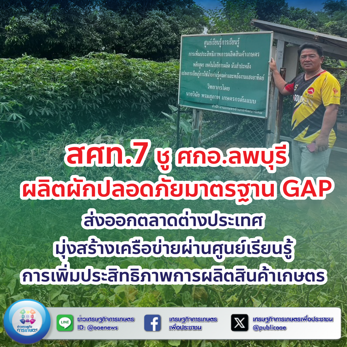 สศท.7 ชู ศกอ.ลพบุรี ผลิตผักปลอดภัยมาตรฐาน GAP ส่งออกตลาดต่างประเทศ มุ่งสร้างเครือข่ายผ่านศูนย์เรียนรู้การเพิ่มประสิทธิภาพการผลิตสินค้าเกษตร