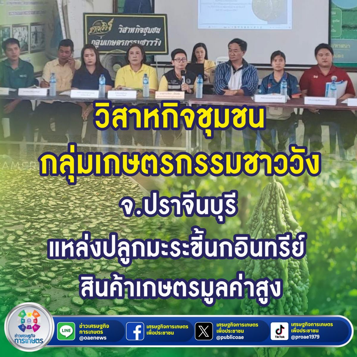 วิสาหกิจชุมชนกลุ่มเกษตรกรรมชาววัง จ.ปราจีนบุรี แหล่งปลูกมะระขี้นกอินทรีย์ สินค้าเกษตรมูลค่าสูง