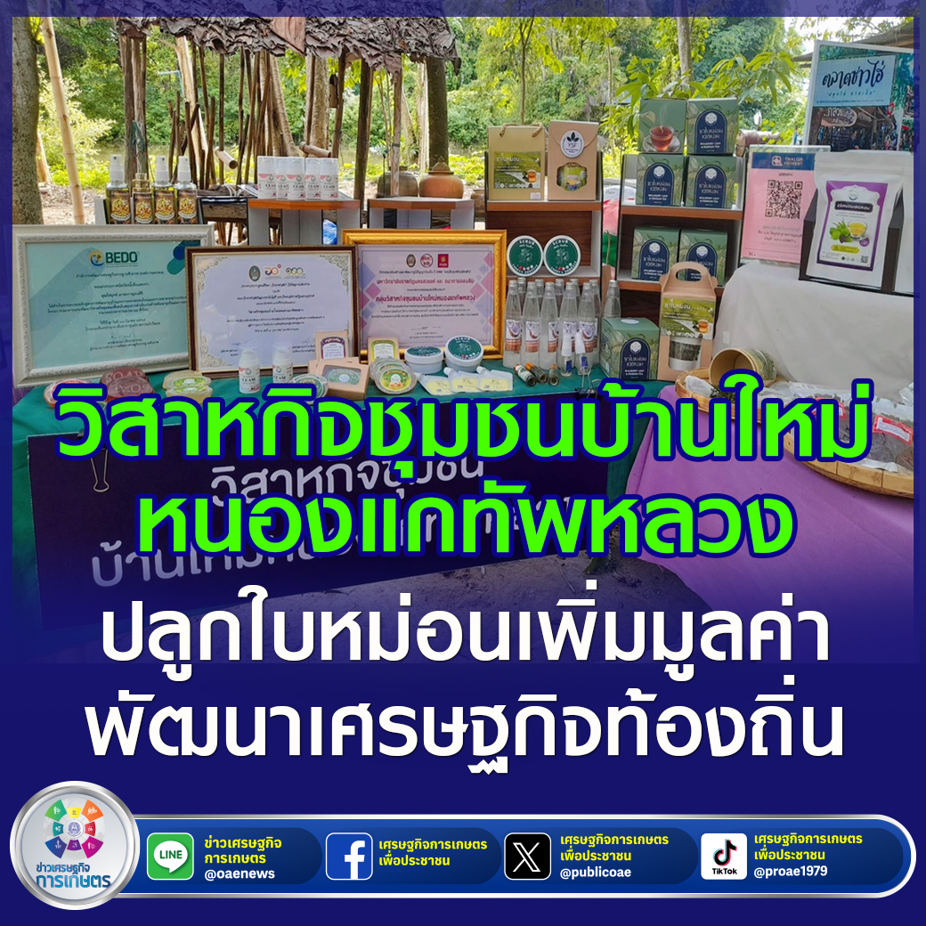 วิสาหกิจชุมชนบ้านใหม่หนองแกทัพหลวง ปลูกใบหม่อนเพิ่มมูลค่า พัฒนาเศรษฐกิจท้องถิ่น 