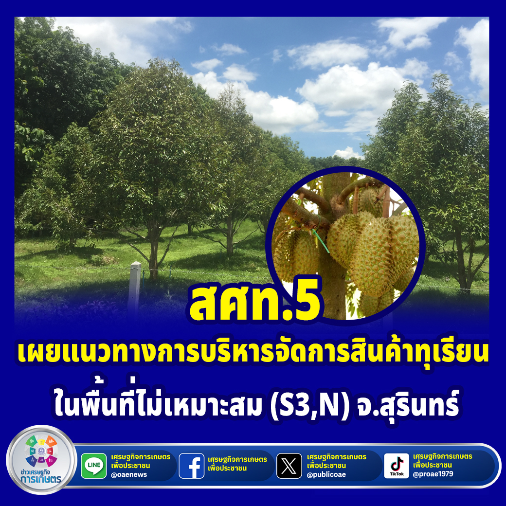 สศท.5 เผยแนวทางการบริหารจัดการสินค้าทุเรียน ในพื้นที่ไม่เหมาะสม (S3,N) จ.สุรินทร์