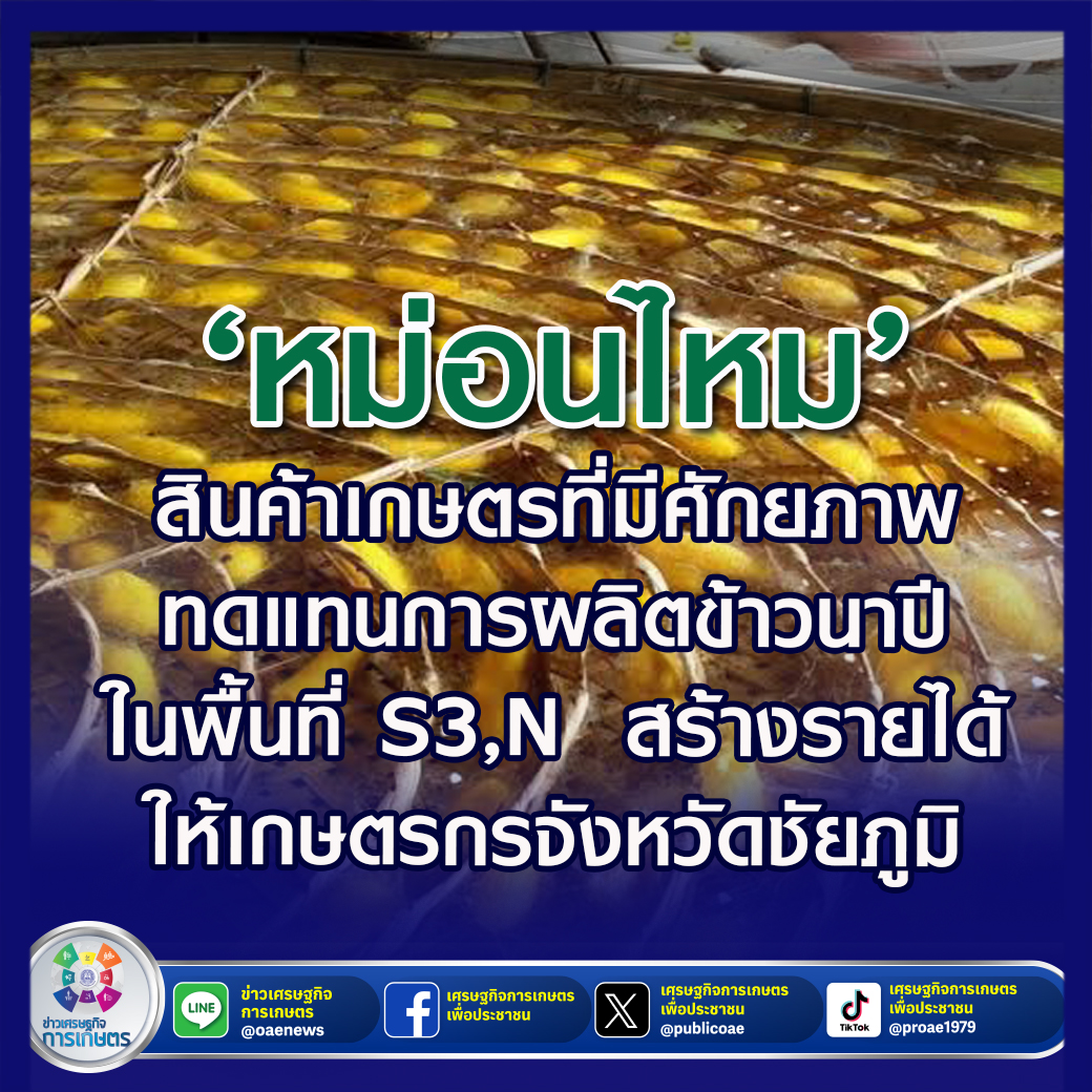 หม่อนไหม’ สินค้าเกษตรที่มีศักยภาพ ทดแทนการผลิตข้าวนาปีในพื้นที่ S3,N สร้างรายได้รายเดือนให้เกษตรกรจังหวัดชัยภูมิ