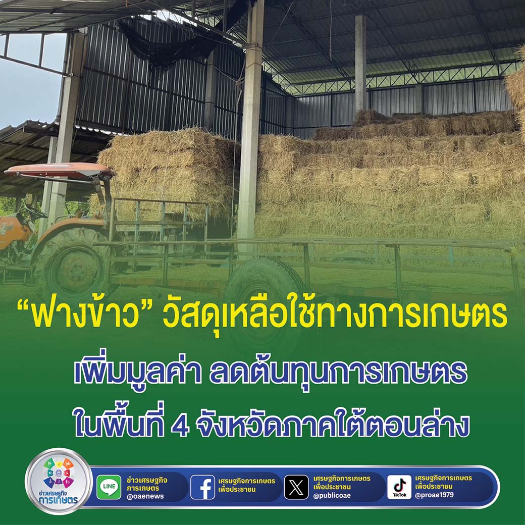 ฟางข้าว วัสดุเหลือใช้ทางการเกษตร เพิ่มมูลค่า ลดต้นทุนการเกษตร  ในพื้นที่ 4 จังหวัดภาคใต้ตอนล่าง