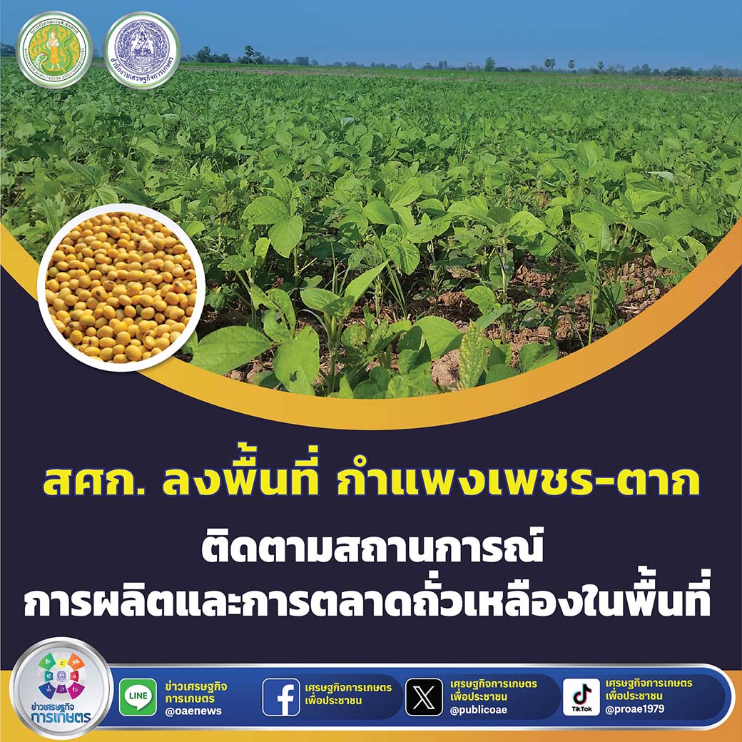 สศก. ลงพื้นที่ กำแพงเพชร - ตาก ติดตามสถานการณ์ การผลิตและการตลาดถั่วเหลืองในพื้นที่