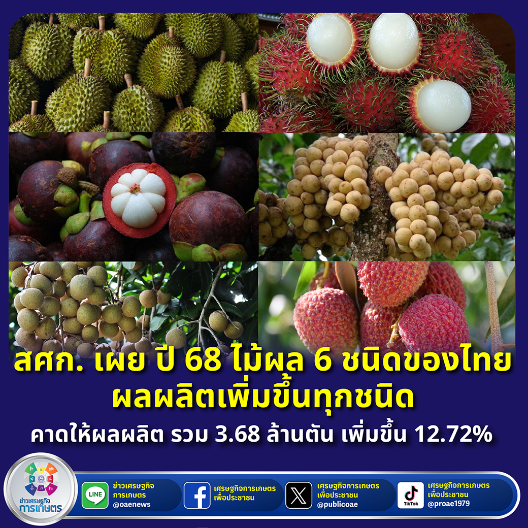 สศก. เผย ปี 68 ไม้ผล 6 ชนิดของไทย ผลผลิตเพิ่มขึ้นทุกชนิด คาดให้ผลผลิต รวม 3.68 ล้านตัน เพิ่มขึ้น 12.72% 