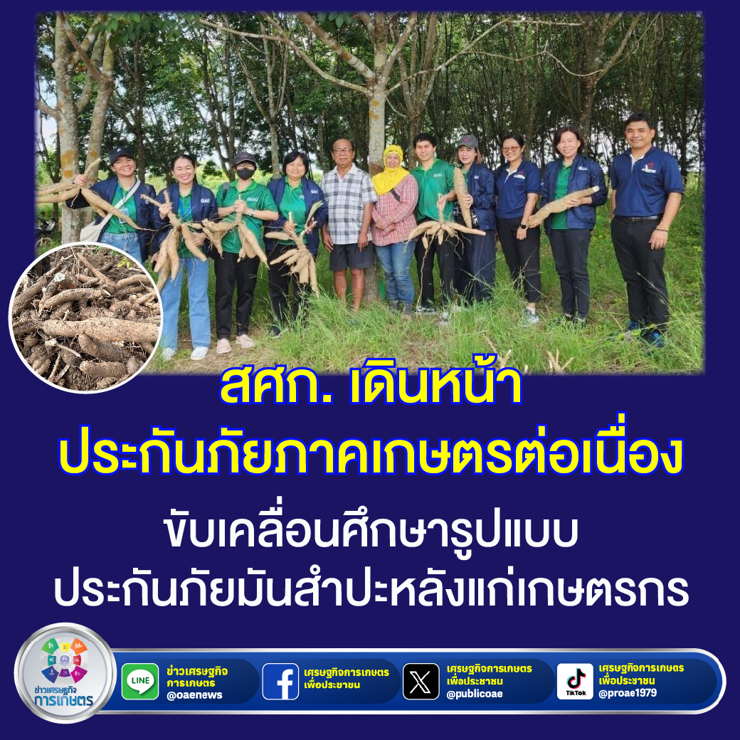 สศก. เดินหน้าประกันภัยภาคเกษตรต่อเนื่อง ขับเคลื่อนศึกษารูปแบบประกันภัยมันสำปะหลังแก่เกษตรกร