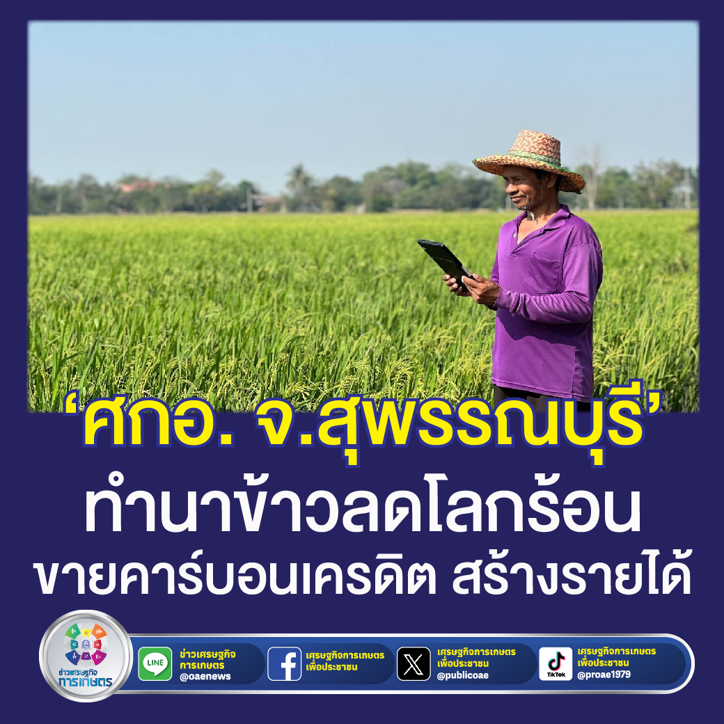 ศกอ. สุพรรณบุรี ทำนาข้าวลดโลกร้อน ขายคาร์บอนเครดิต สร้างรายได้