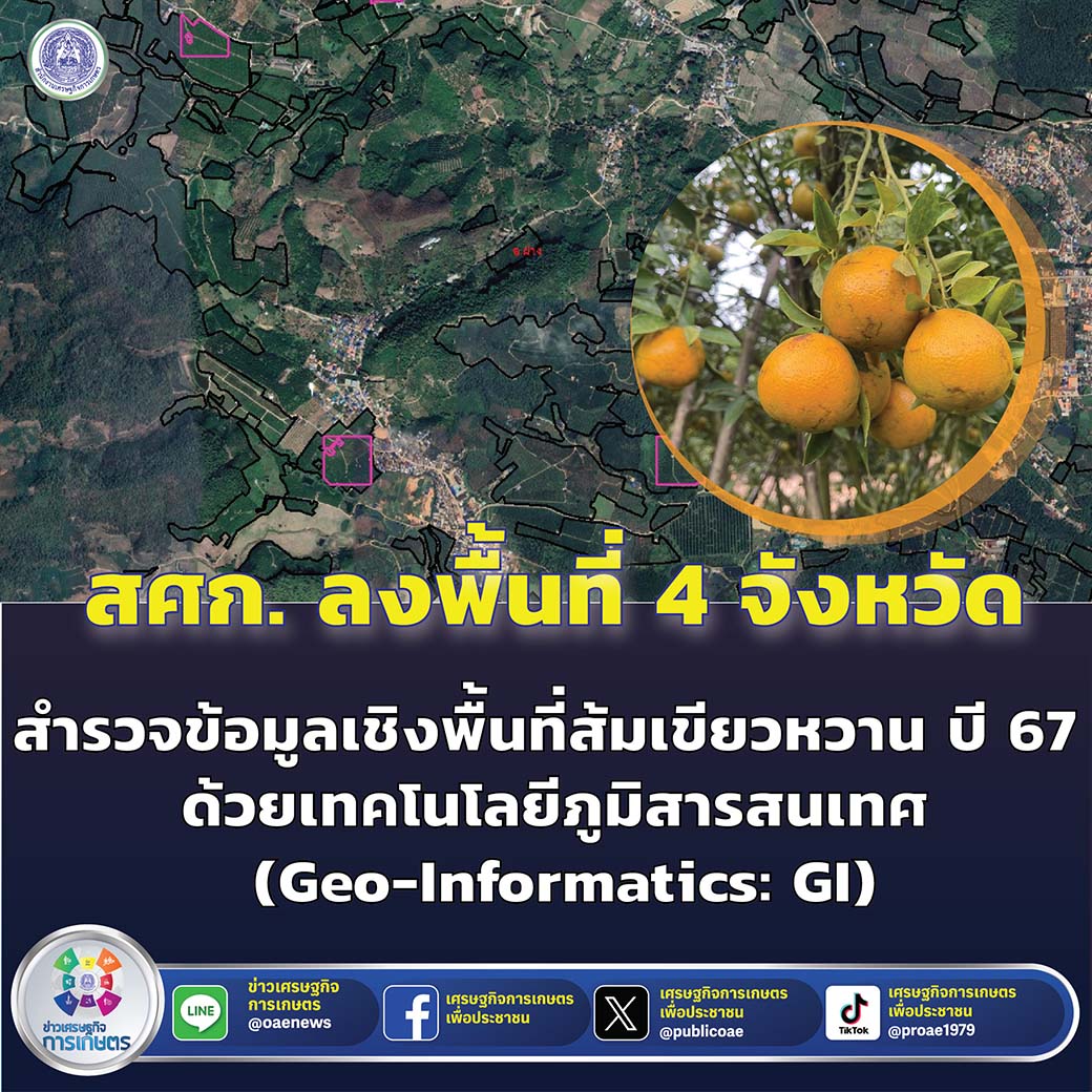 สศก. ลงพื้นที่ 4 จังหวัด สำรวจข้อมูลเชิงพื้นที่ส้มเขียวหวาน ปี 2567 ด้วยเทคโนโลยีภูมิสารสนเทศ (Geo-Informatics: GI)