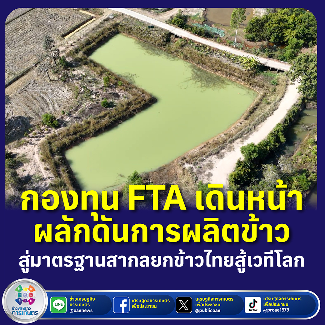 กองทุน FTA เดินหน้าผลักดันการผลิตข้าวสู่มาตรฐานสากล ยกข้าวไทยสู้เวทีโลก