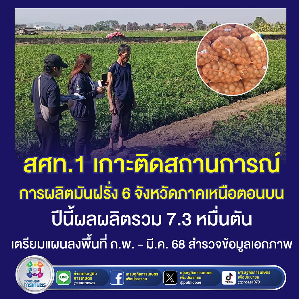 สศท.1 เกาะติดสถานการณ์ผลิตมันฝรั่ง 6 จังหวัดภาคเหนือตอนบน ปีนี้ ผลผลิตรวม 7.3 หมื่นตัน เตรียมแผนลงพื้นที่ ก.พ. - มี.ค. 68 สำรวจข้อมูลเอกภาพ